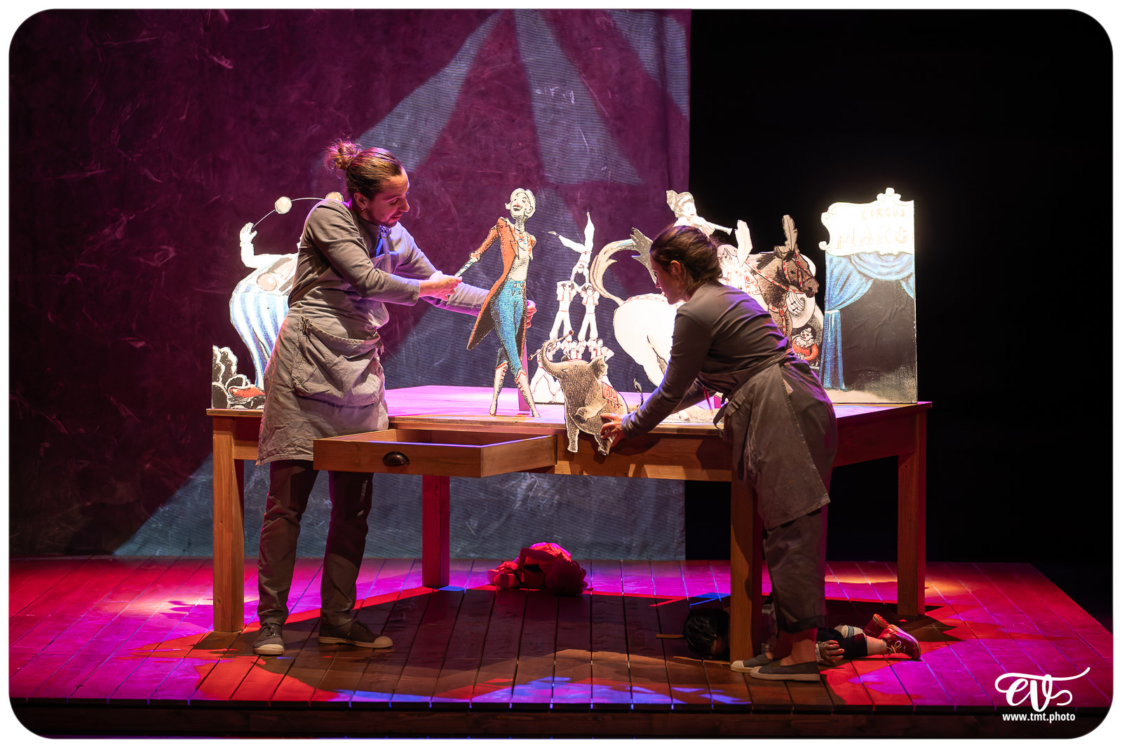 LA TRISTESSE DE L'ELEPHANT (CIE DES RIVES DE L'ILL)